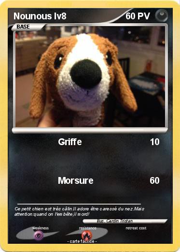 Pokemon Nounous lv8