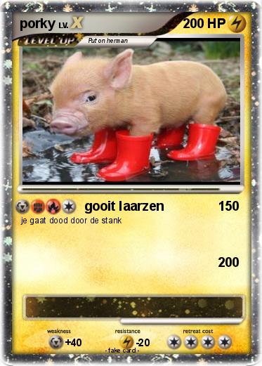 Pokemon porky