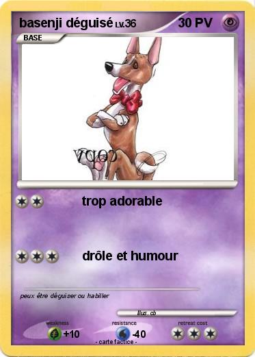 Pokemon basenji déguisé