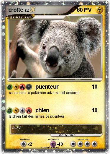 Pokemon crotte