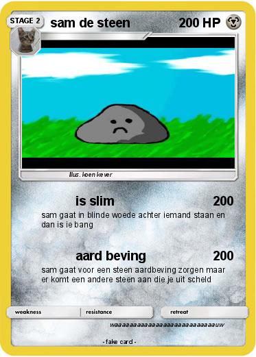 Pokemon sam de steen