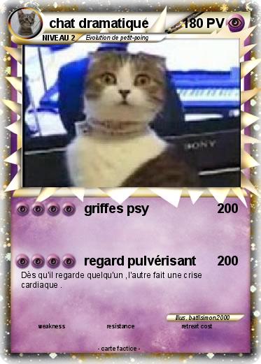 Pokemon chat dramatique