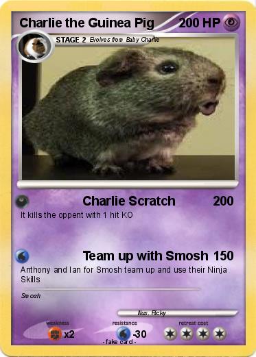 Pokemon Charlie the Guinea Pig