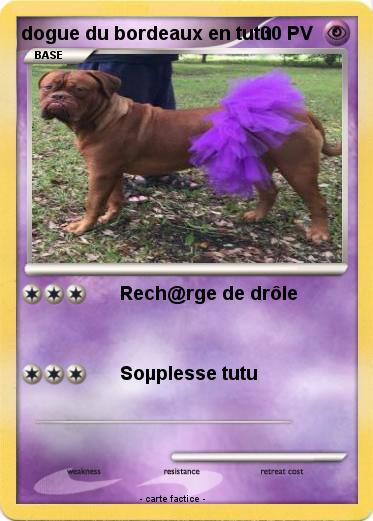 Pokemon dogue du bordeaux en tutu