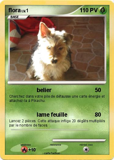 Pokemon flora