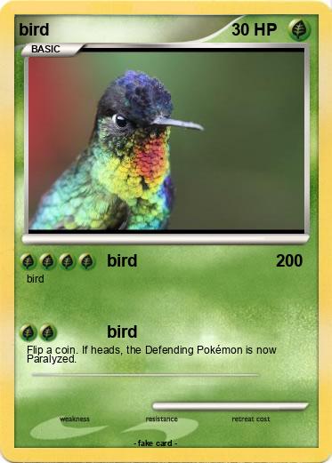 Pokemon bird