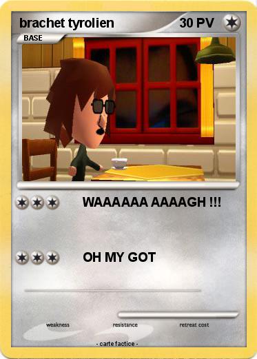 Pokemon brachet tyrolien