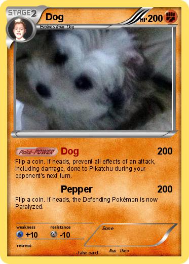 Pokemon Dog