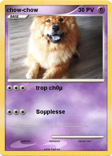 Pokemon chow-chow