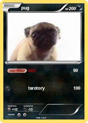 Pokemon pug