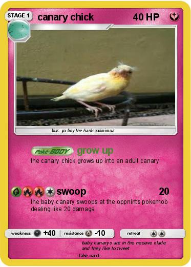 Pokemon canary chick