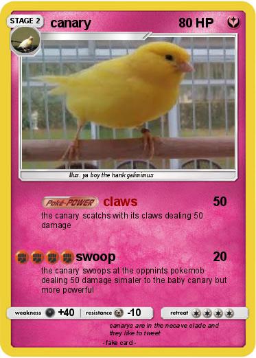 Pokemon canary