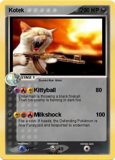 Pokemon Kotek