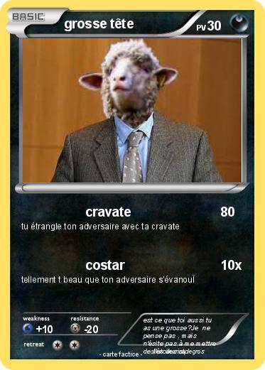 Pokemon grosse tête