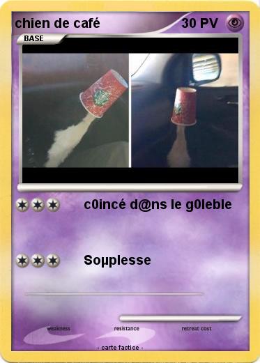 Pokemon chien de café