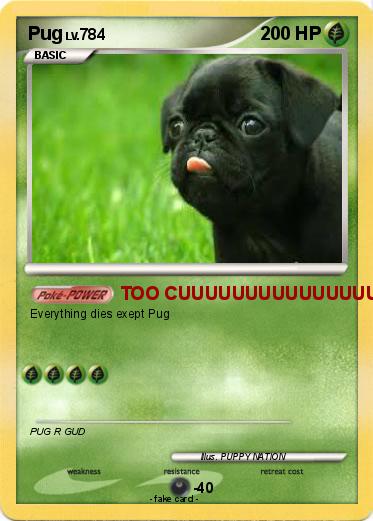 Pokemon Pug