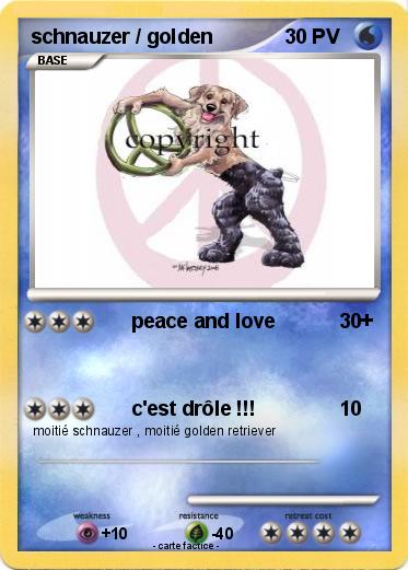 Pokemon schnauzer / golden