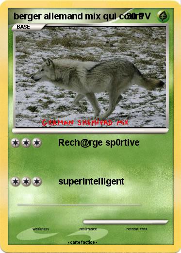 Pokemon berger allemand mix qui cours