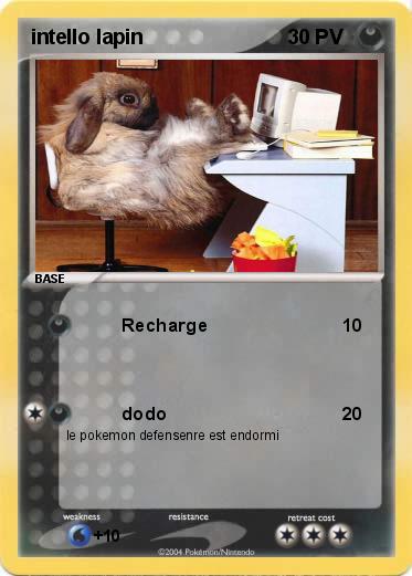 Pokemon intello lapin