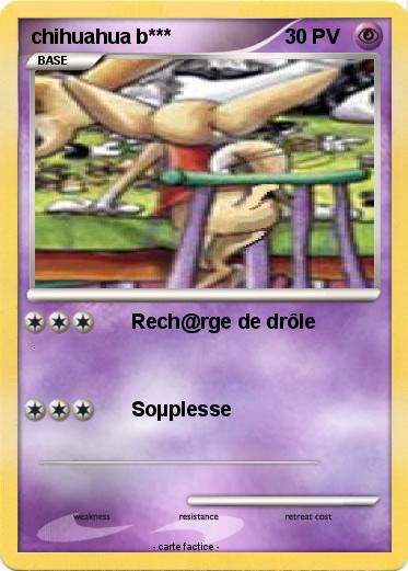 Pokemon chihuahua b***