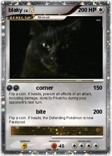 Pokemon blaky