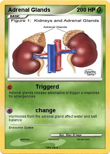 Pokemon Adrenal Glands