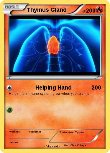 Pokemon Thymus Gland