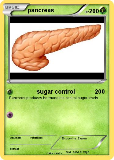 Pokemon pancreas