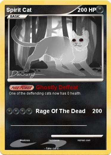 Pokemon Spirit Cat