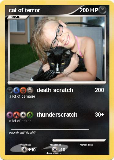 Pokemon cat of terror
