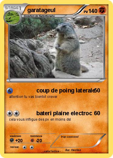 Pokemon garatageul