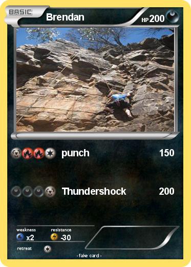 Pokemon Brendan