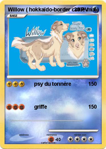 Pokemon Willow ( hokkaïdo-border collie mix )