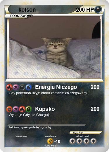 Pokemon kotson