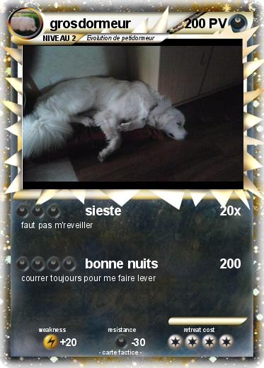 Pokemon grosdormeur