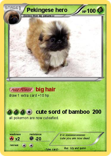 Pokemon Pekingese hero