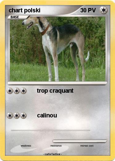 Pokemon chart polski