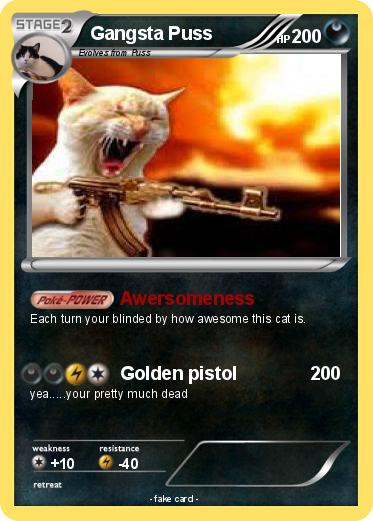 Pokemon Gangsta Puss