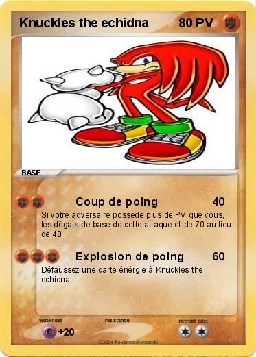 Pokemon Knuckles the echidna