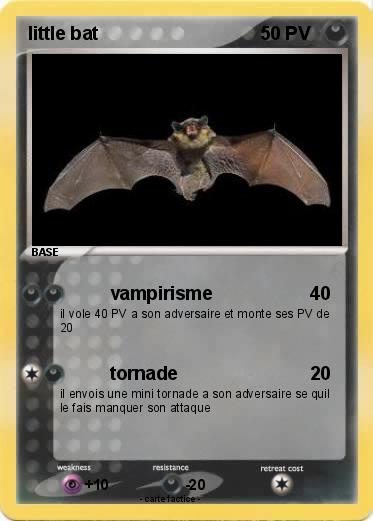 Pokemon little bat