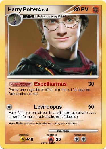 Pokemon Harry Potter4