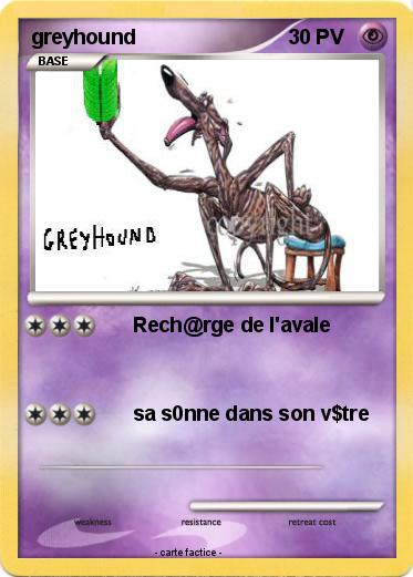 Pokemon greyhound