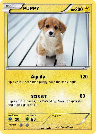 Pokemon PUPPY