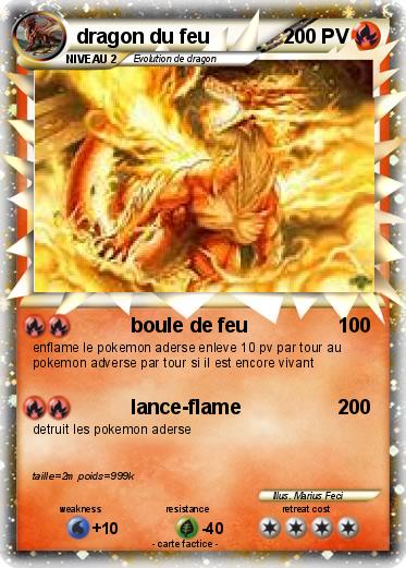 Pokemon dragon du feu