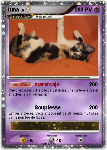 Pokemon luna