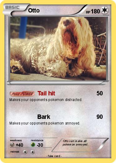 Pokemon Otto