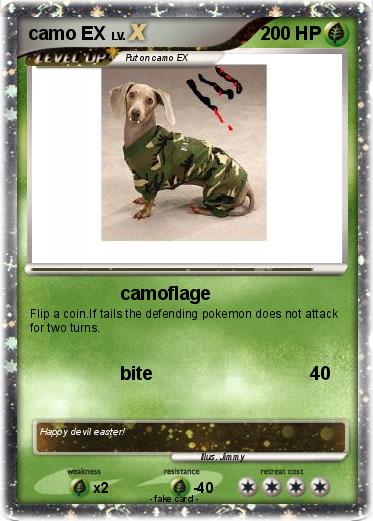 Pokemon camo EX