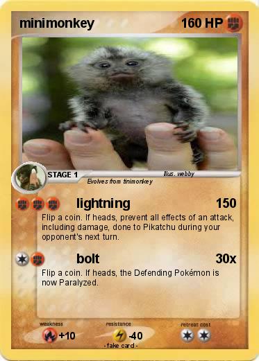 Pokemon minimonkey