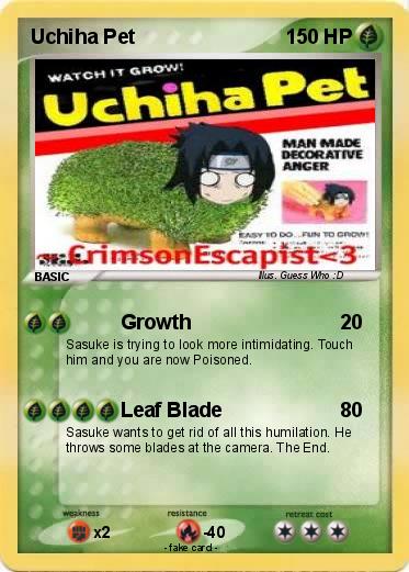 Pokemon Uchiha Pet