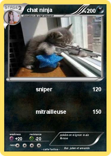 Pokemon chat ninja
